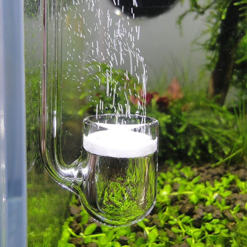 Planted Aquarium Parameters - Akvaryum için D0AD Cam CO2 Difüzörü