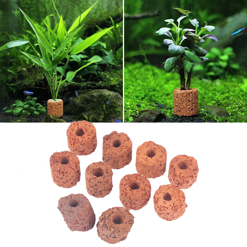 Aquarium Planted Set Up - 10 adet Mini su bitkileri halkası