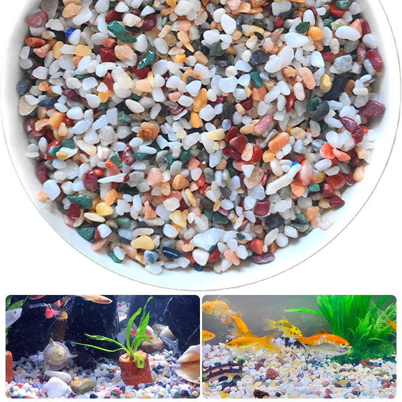 Aquarium Plant Gravel - Doğal Çakıl Taşı 200 ~ 1000g