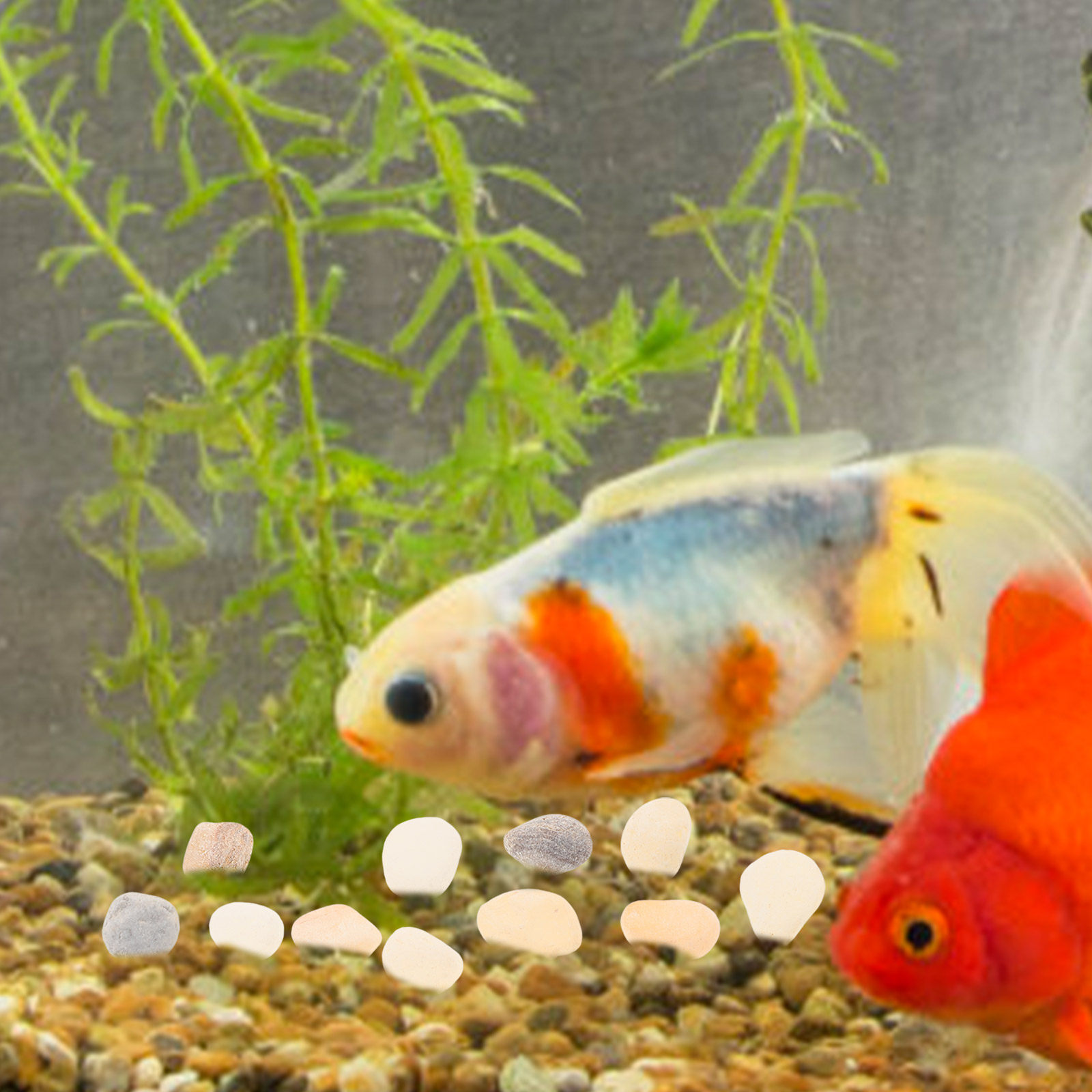 Aquarium Plant Gravel - Doğal Peyzaj Çakıl Taşları Akvaryum Balık