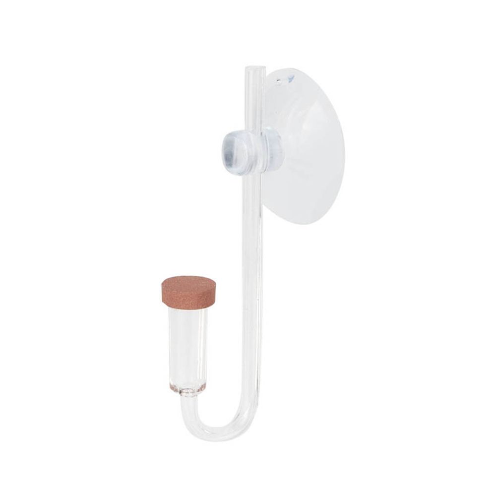 Planted Aquarium Parameters - Akrilik Mini Balık Tankı Canlı Bitki
