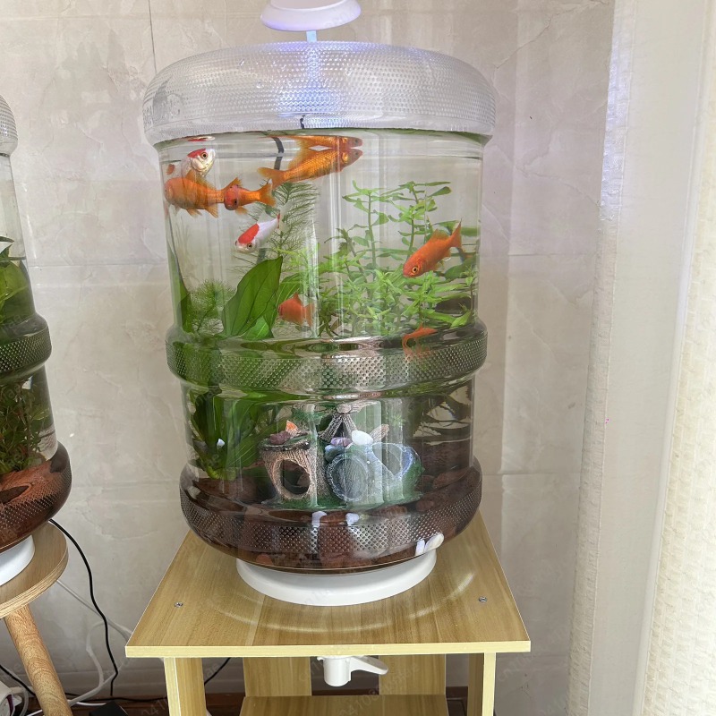 Aquarium Planted Set Up - Anında Kurulum Ev Tipi Akvaryum 30x30cm
