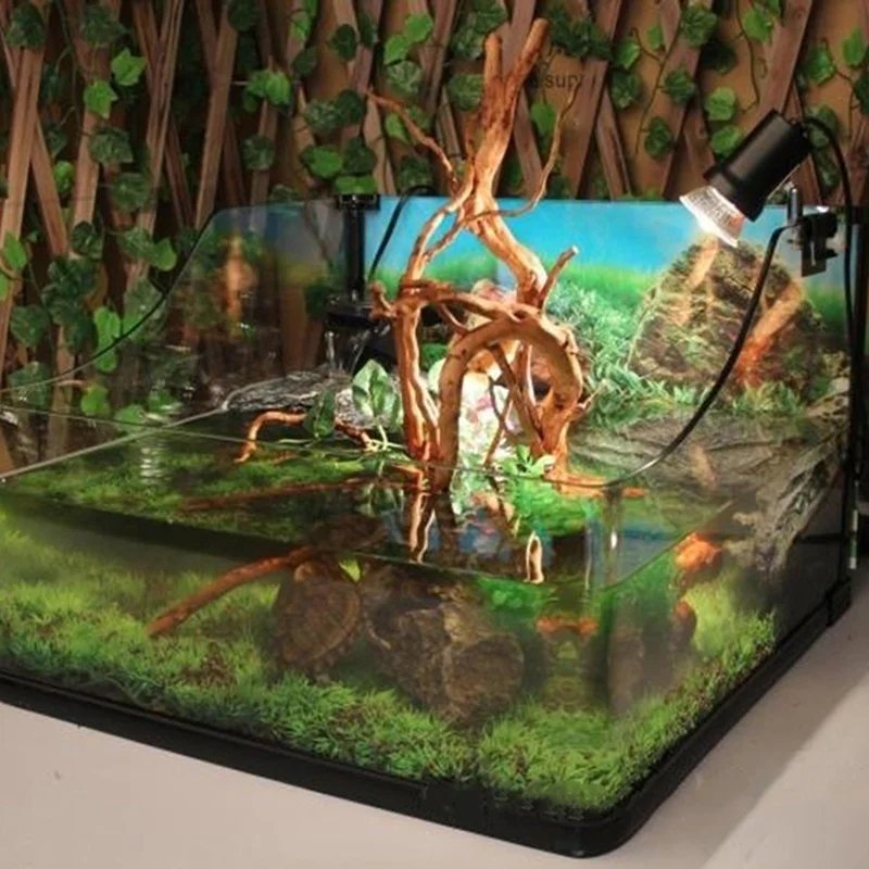 Planted Aquarium Making - Doğal Ağaç Gövdesi Driftwood akvaryum balık
