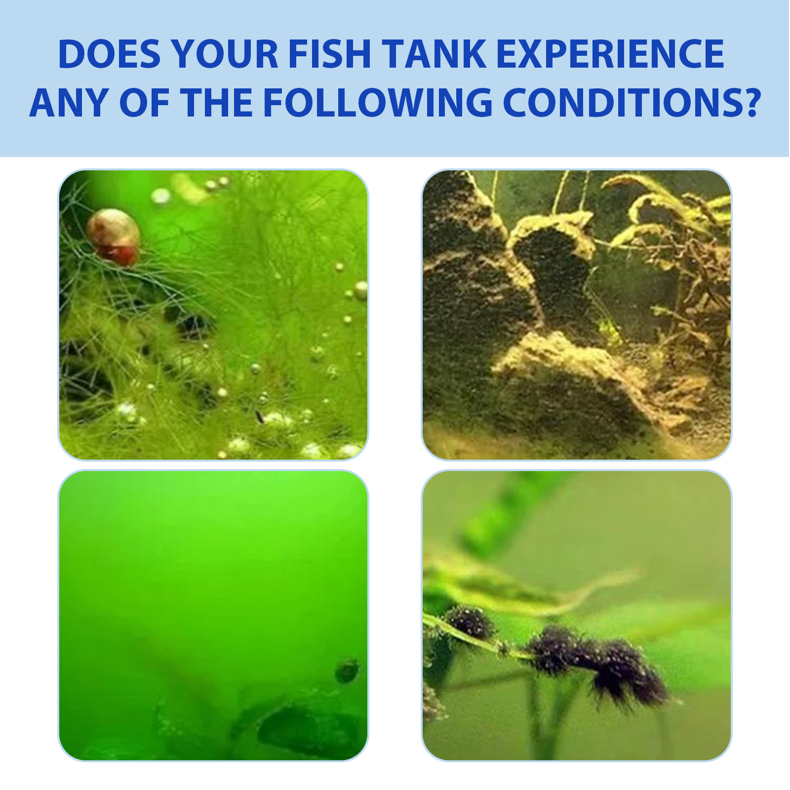 Biyolojik Akvaryum Yosun Kontr - Planted Aquarium Algae Control incelemesi ve fiyatı