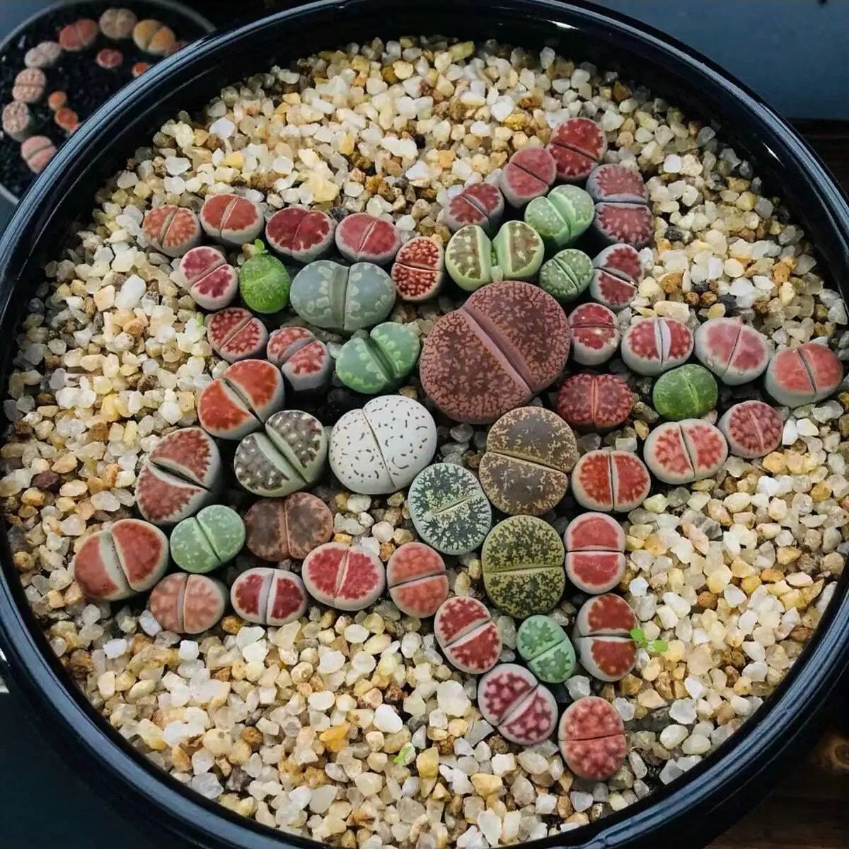 1 adet-250g Doğal Kristaller ç - Aquarium Plant Gravel incelemesi ve fiyatı