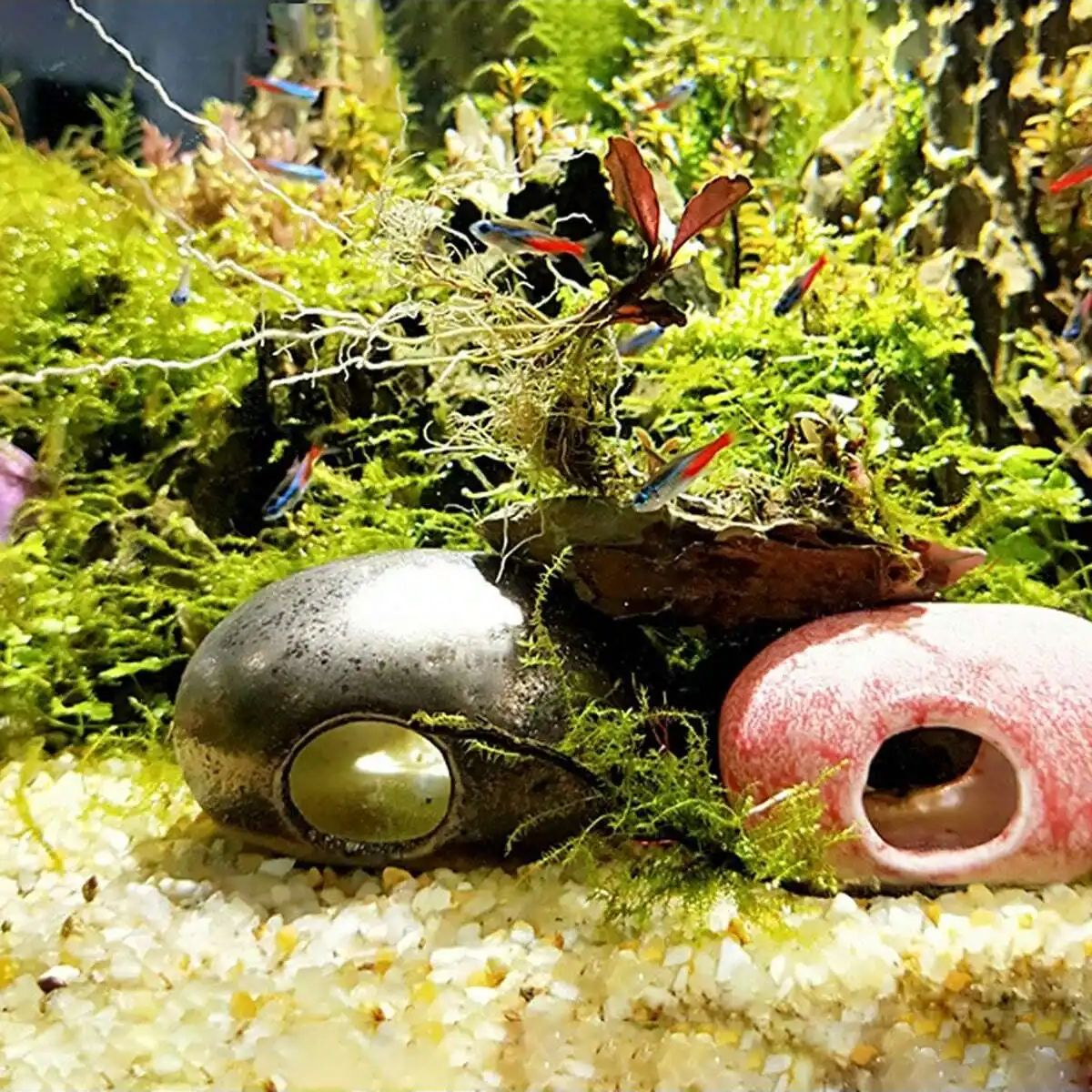 1 adet-250g Doğal Kristaller ç - Aquarium Plant Gravel incelemesi ve fiyatı