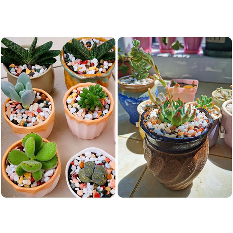 5mm Doğal Akvaryum Kumu 200g-8 - Aquarium Plant Gravel incelemesi ve fiyatı
