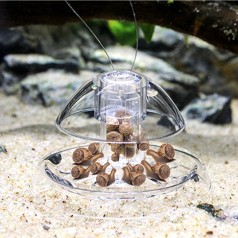1 adet balık tankı akvaryum te - Planted Aquarium Parameters incelemesi ve fiyatı