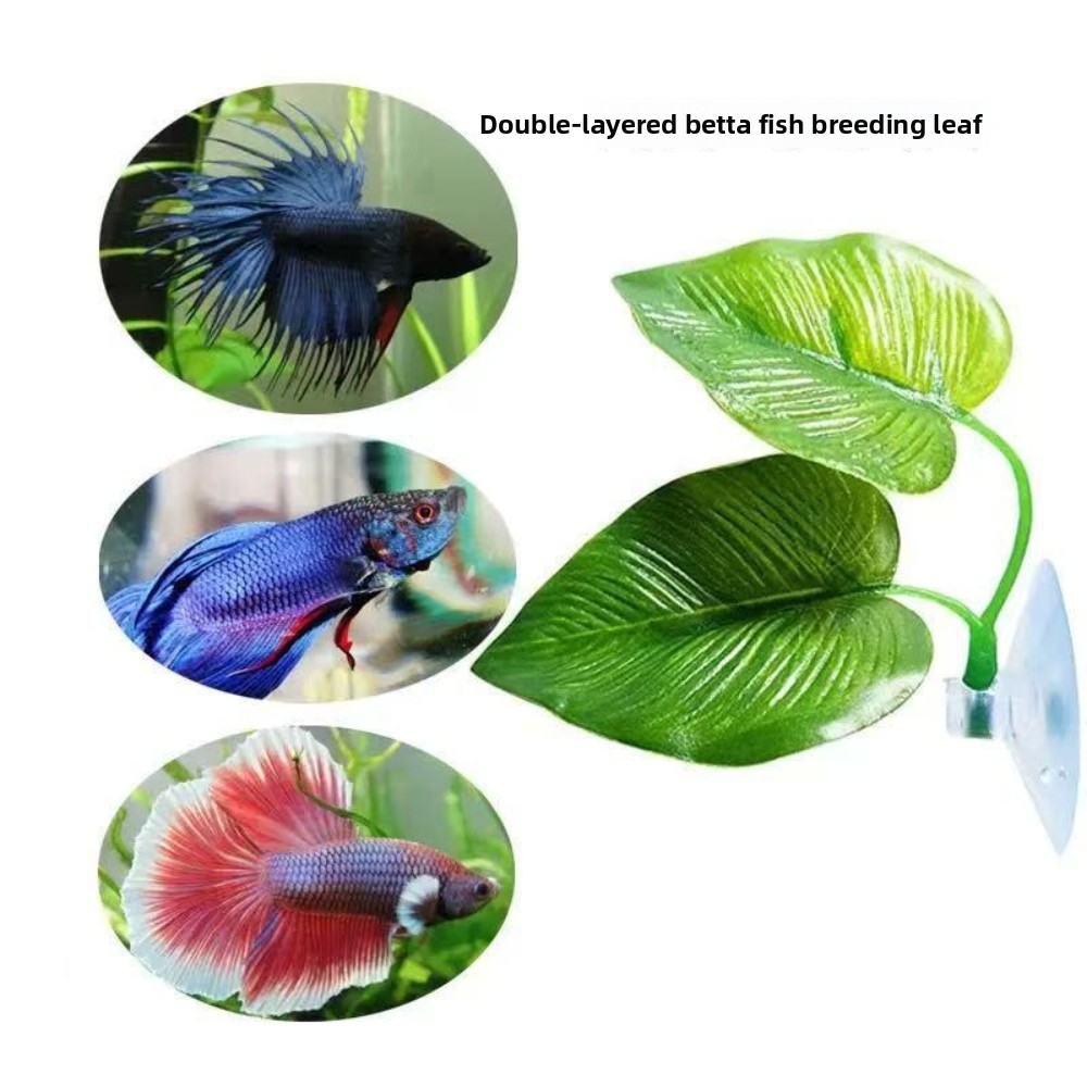 1/3/5/10 Betta Akvaryumu Yapay - Aquarium Planted Set Up incelemesi ve fiyatı
