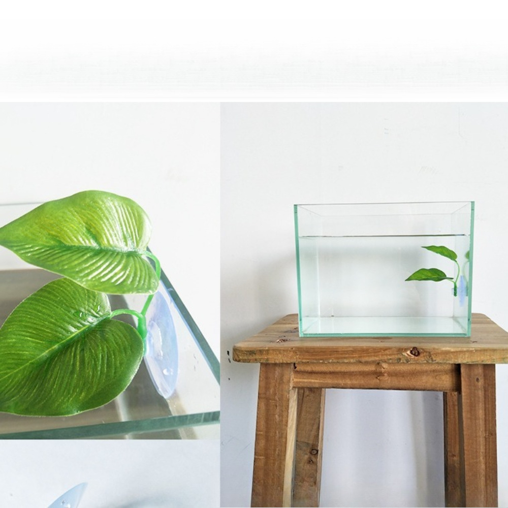 1/3/5/10 Betta Akvaryumu Yapay - Aquarium Planted Set Up incelemesi ve fiyatı