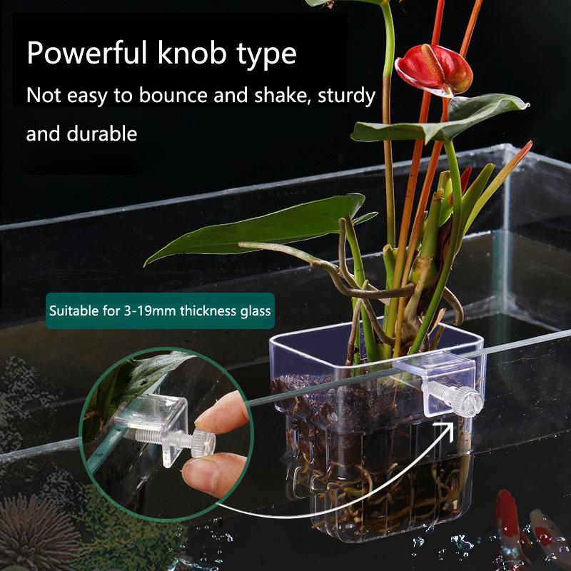 Akvaryum Hidroponik Dikim Kabı - Aquarium Planted Set Up incelemesi ve fiyatı