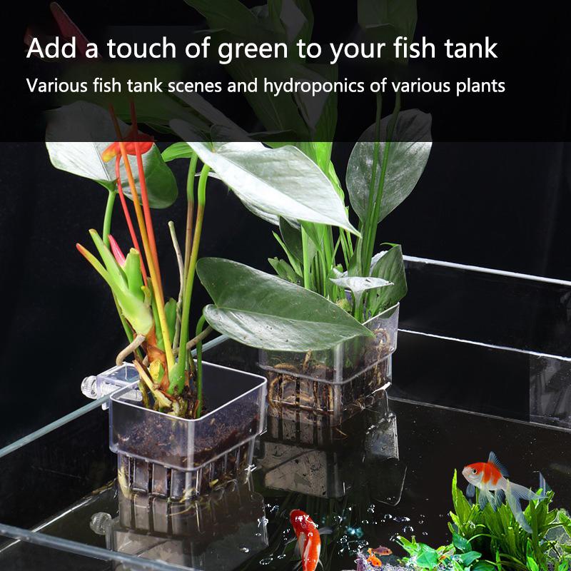 Akvaryum Hidroponik Dikim Kabı - Aquarium Planted Set Up incelemesi ve fiyatı