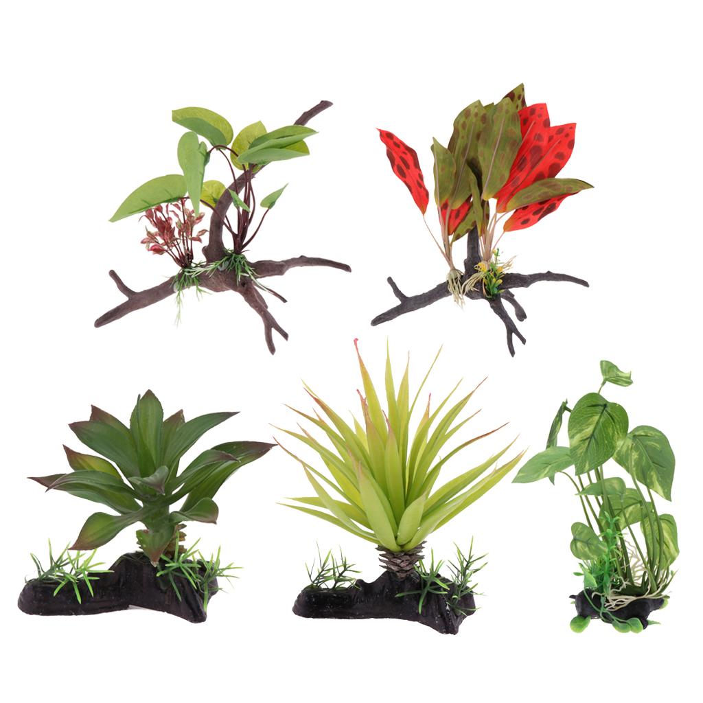 Sürüngen Teraryumu Bitkisi Yap - Planted Aquarium Jungle incelemesi ve fiyatı