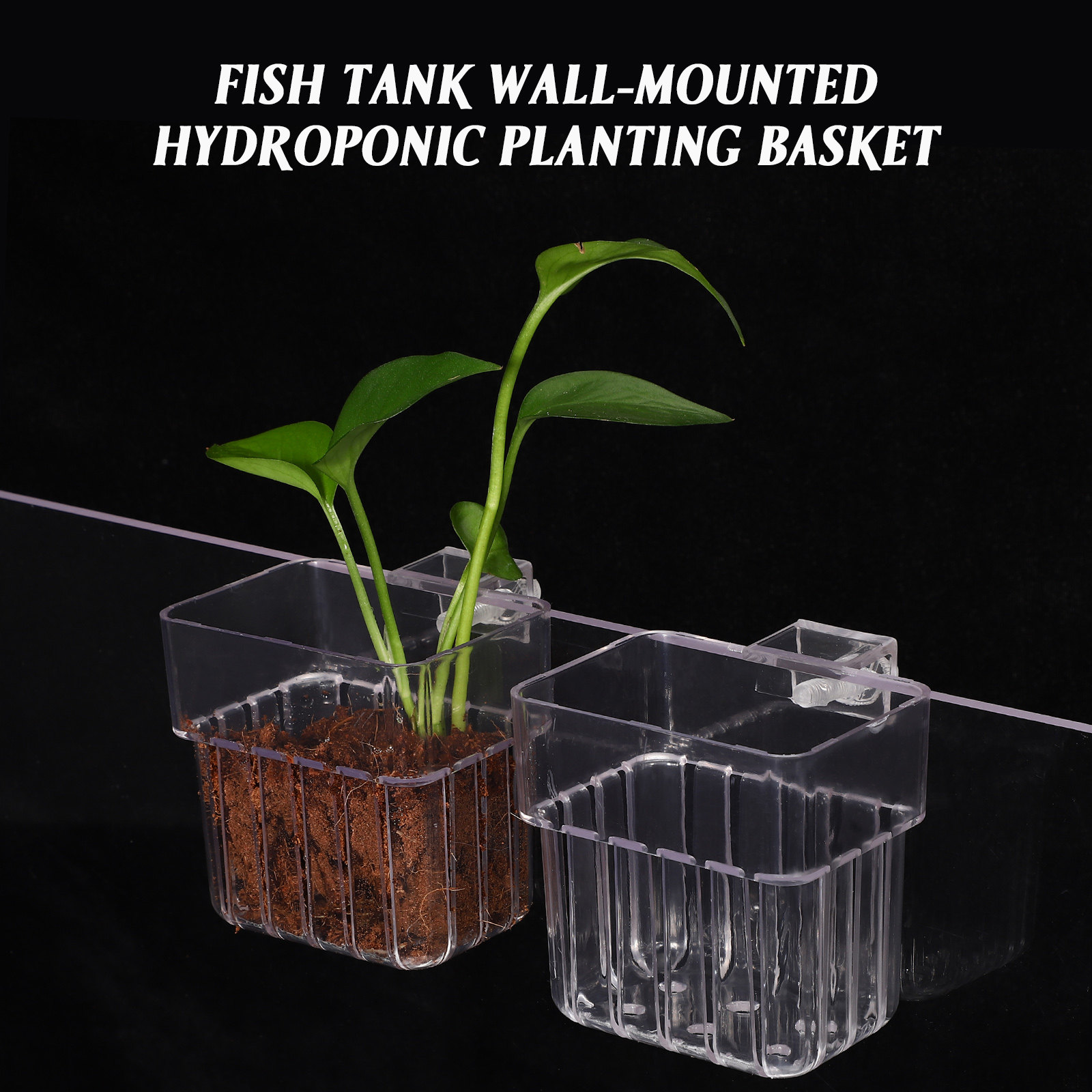 4 Adet Akvaryum Bitki Tutucu Ş - Aquarium Planted Set Up incelemesi ve fiyatı