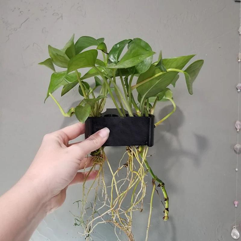 1 2 3 Adet Akvaryum Bitki Dest - Aquarium Planted Set Up incelemesi ve fiyatı