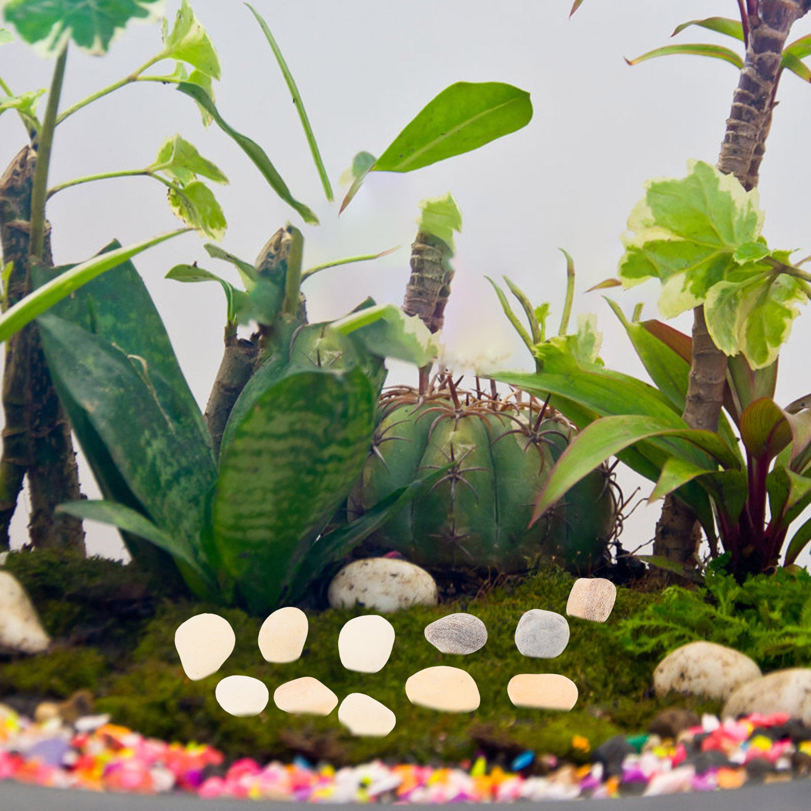 Doğal Peyzaj Çakıl Taşları Akv - Aquarium Plant Gravel incelemesi ve fiyatı