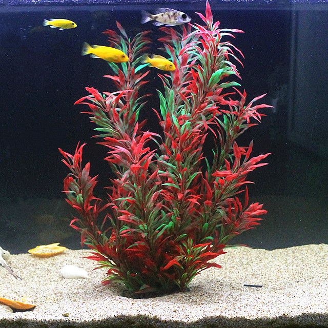 50 CM Yapay Balık Tankı Nadir  - Planted Aquarium Parameters incelemesi ve fiyatı