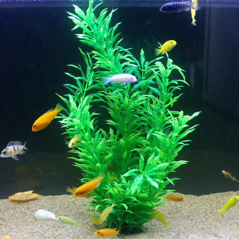 50 CM Yapay Balık Tankı Nadir  - Planted Aquarium Parameters incelemesi ve fiyatı