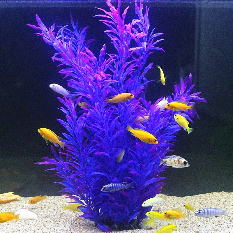 50 CM Yapay Balık Tankı Nadir  - Planted Aquarium Parameters incelemesi ve fiyatı
