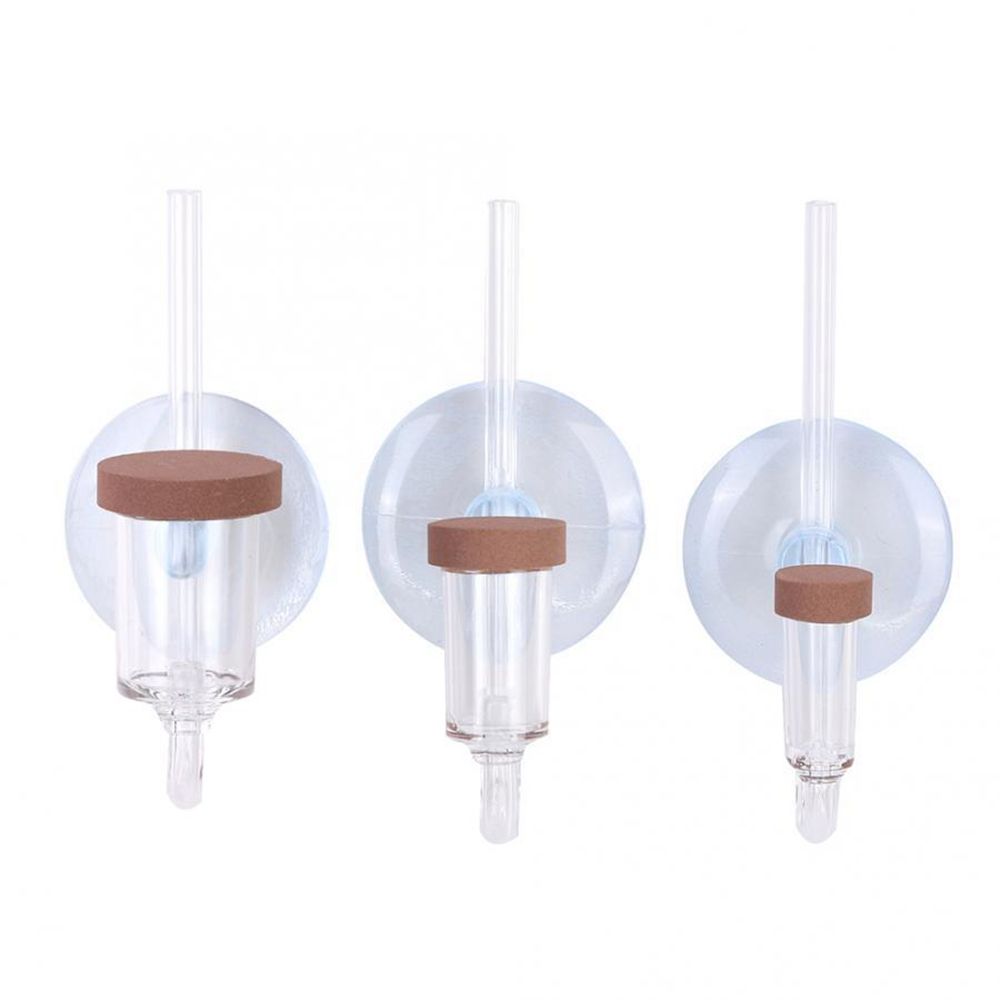 Akrilik Mini Balık Tankı Canlı - Planted Aquarium Parameters incelemesi ve fiyatı
