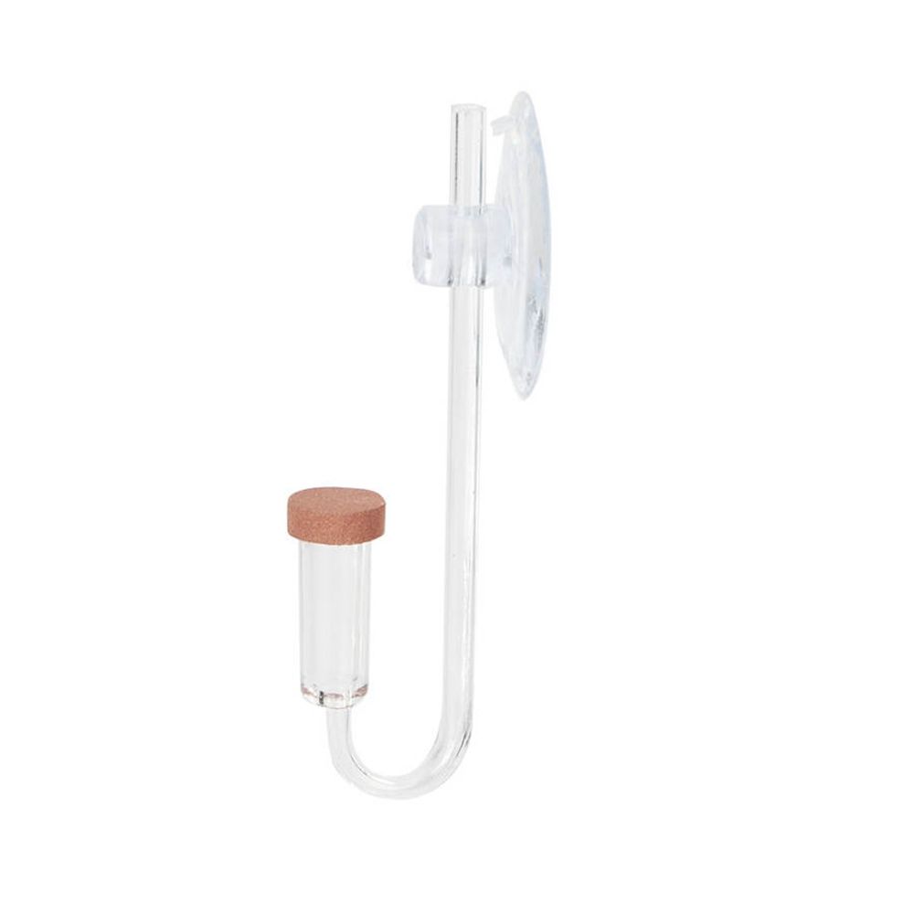 Akrilik Mini Balık Tankı Canlı - Planted Aquarium Parameters incelemesi ve fiyatı