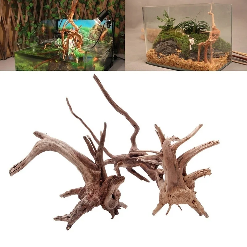 Doğal Ağaç Gövdesi Driftwood a - Planted Aquarium Making incelemesi ve fiyatı