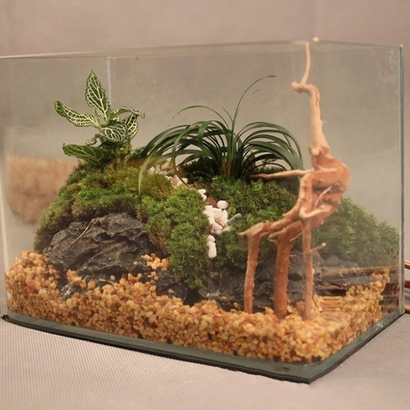 Doğal Ağaç Gövdesi Driftwood a - Planted Aquarium Making incelemesi ve fiyatı