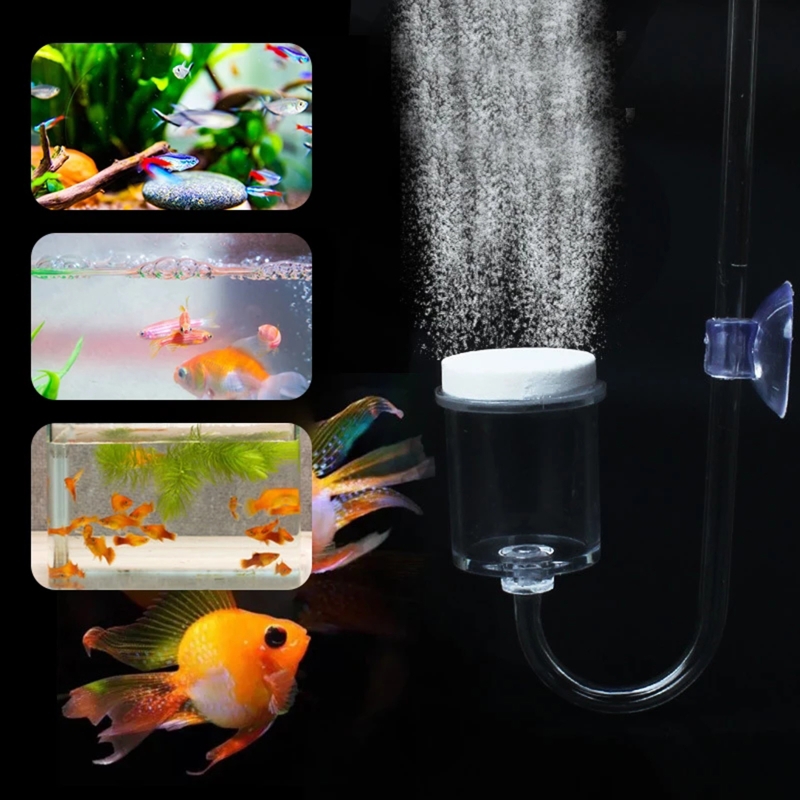 4 adet Set DIY CO2 difüzör içi - Planted Aquarium Parameters incelemesi ve fiyatı