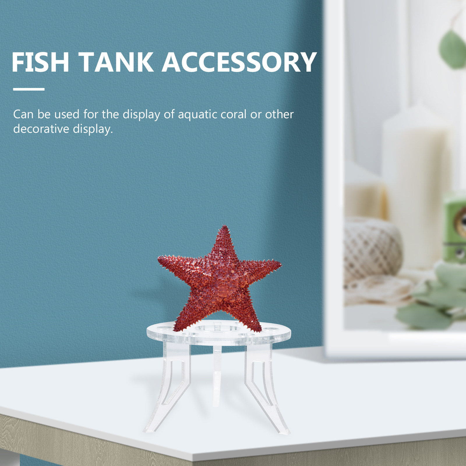 1 adet mercan tabanı şık güçlü - Aquarium Planted Set Up incelemesi ve fiyatı